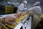 Контрабандисты перевозили через Кордай куриное мясо под видом моркови