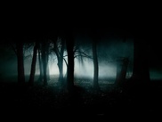 В Берлине объявился проживший 5 лет в лесу мальчик