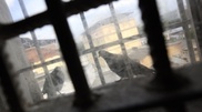 Замначальника колонии в Долинке был ранен при обыске заключенных 