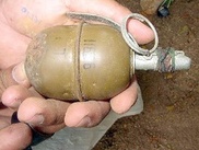 В Алматы у мужчины изъяли боевую гранату