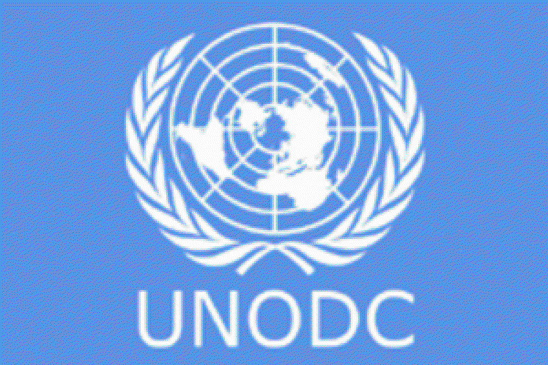 Оон спорт. UNODC. UNODC вектор. УНП ООН по наркотикам. UNODC вход.