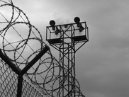 Заключенные в ЮКО воровали скот на машине колонии