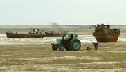 Мэлс Елеусизов предложил засадить Аральское море саксаулом