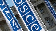 В Кыргызстане задержали наблюдательницу от ОБСЕ