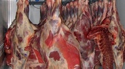Полицейские спасли астанчан от подозрительного мяса