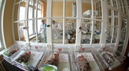 7-миллиардный житель Земли родился в России