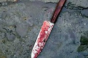 В Павлодаре убийца студента-жасотановца сдался полиции