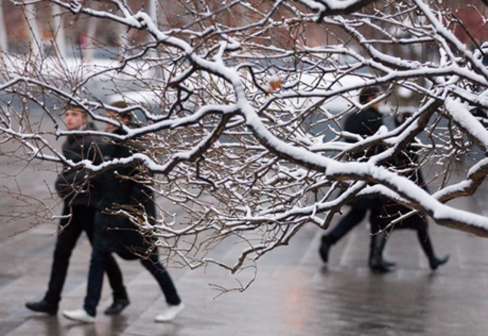 Снежная погода. Фото РИА Новости©