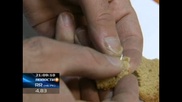 В Алматы московский режиссер нашел в хлебе стекло