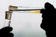 Врачи в Талдыкоргане не смогли отличить мочу от травяного сбора