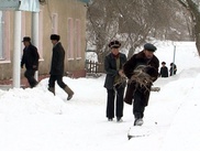 В ЮКО посланные за дровами директором школы учителя попали в больницу