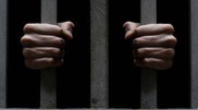 В Ставрополье в рабстве удерживали семь казахстанцев