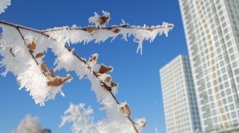 Фото из архива Tengrinews.kz