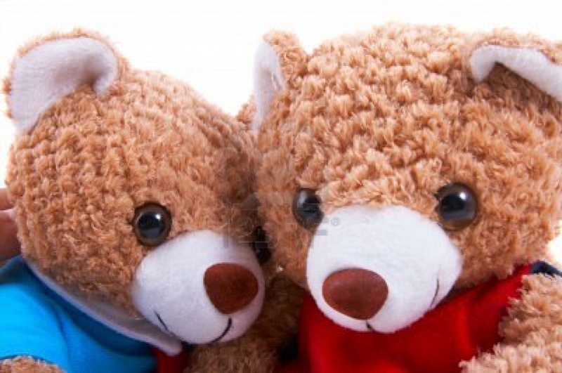 Togetherness Bear.