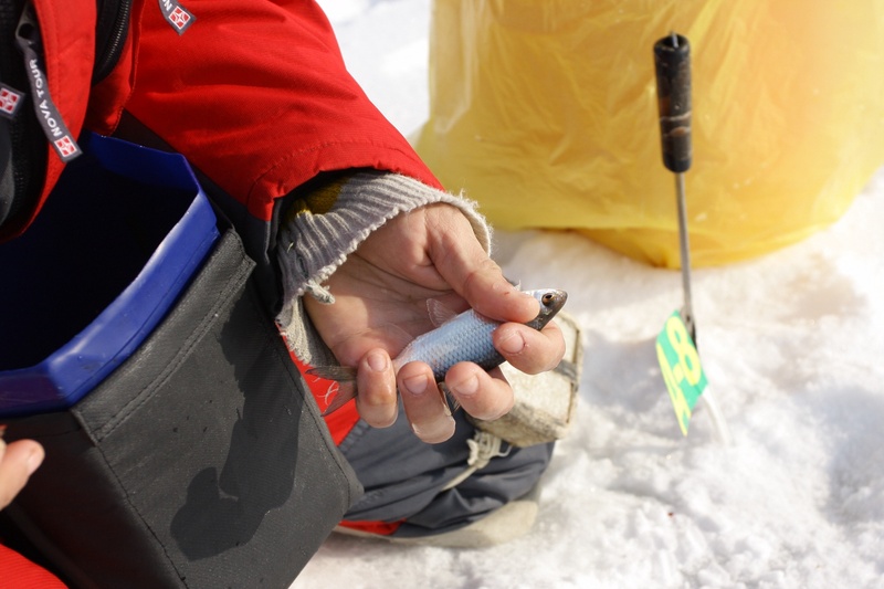 Чемпионат мира по зимней ловле рыбы на Капшагайском водохранилище.
Фото ©Владимир Прокопенко 