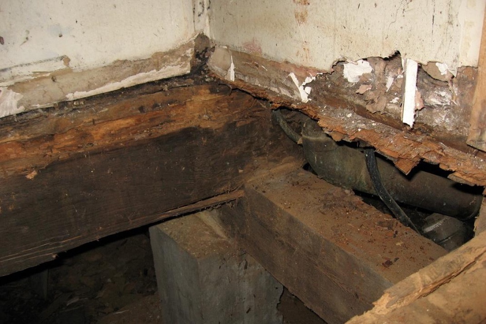 Труп был найден под полом в доме в Актобе. Фото с сайта kp.ru