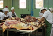 Казахстан на 100 процентов обеспечит себя продовольственным сырьем