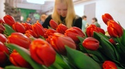 В Алматы женщинам подарят цветы взамен на обещание бросить курить