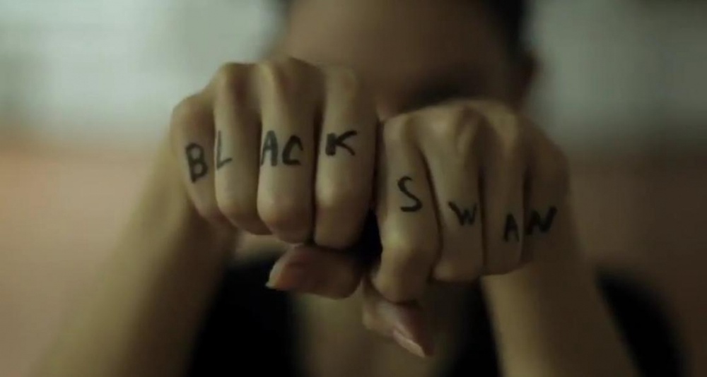 Кадр из видеоролика "Черный лебедь" 