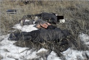 В степи в Карагандинской области найдены тела двух женщин