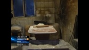 Работники подпольной пекарни в Алматы брали воду из речки
