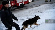 В многоэтажном доме в Кокшетау ищут бомбу