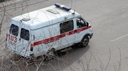 В Алматинской области погиб упавший с дерева мужчина 