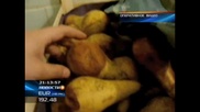Престарелых жителей Актобе кормят просроченными продуктами
