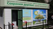 В Алматы начали принимать макулатуру