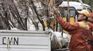 В 2012 году в Алматы посадили 16 000 деревьев и кустарников