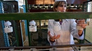 С 1 июля в Казахстане запрещается производство и продажа ламп накаливания