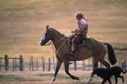 В Чили нашли жившего 46 лет в изоляции мужчину