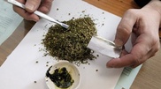 Полторы тонны марихуаны изъяли у двух жителей Жамбылской области