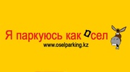Полиция оштрафует попавших на сайт "Я паркуюсь как осел" водителей