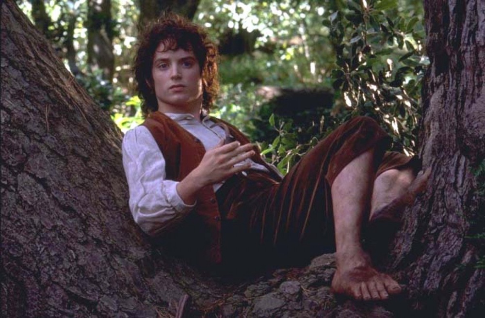 Элайджа Вуд в роли хоббита Фродо. Кадр из фильма "Властелин колец"
