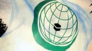 Главы МИД ОИС приостановили членство Сирии в сообществе