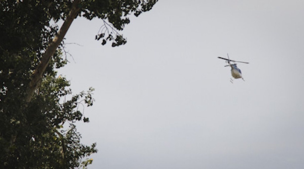 Территорию парка патрулируют вертолеты. Фото Владимир Дмитриев©