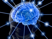 IQ-тест поставили под сомнение