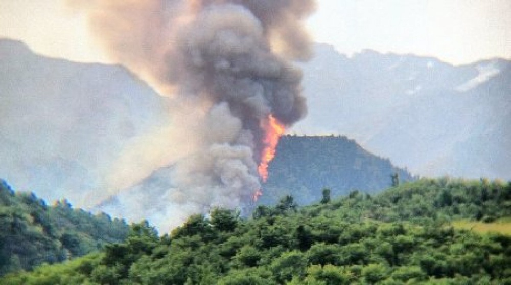 Пожар на горе Мохнатка. Фото ©Батыр Казыбаев