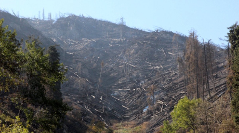 Последствия пожара на горе Мохнатка.
Фото ©Владимир Прокопенко