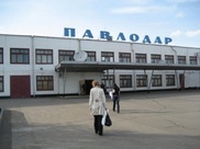Павлодар очистили от бродячих животных