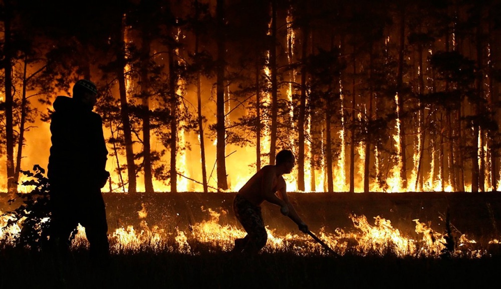 Фото с сайта kp.ru