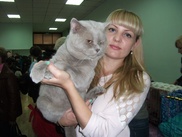 ФОТО: Кота-богатыря выбрали в Семее