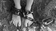 В ВКО из рабства освобожден человек 