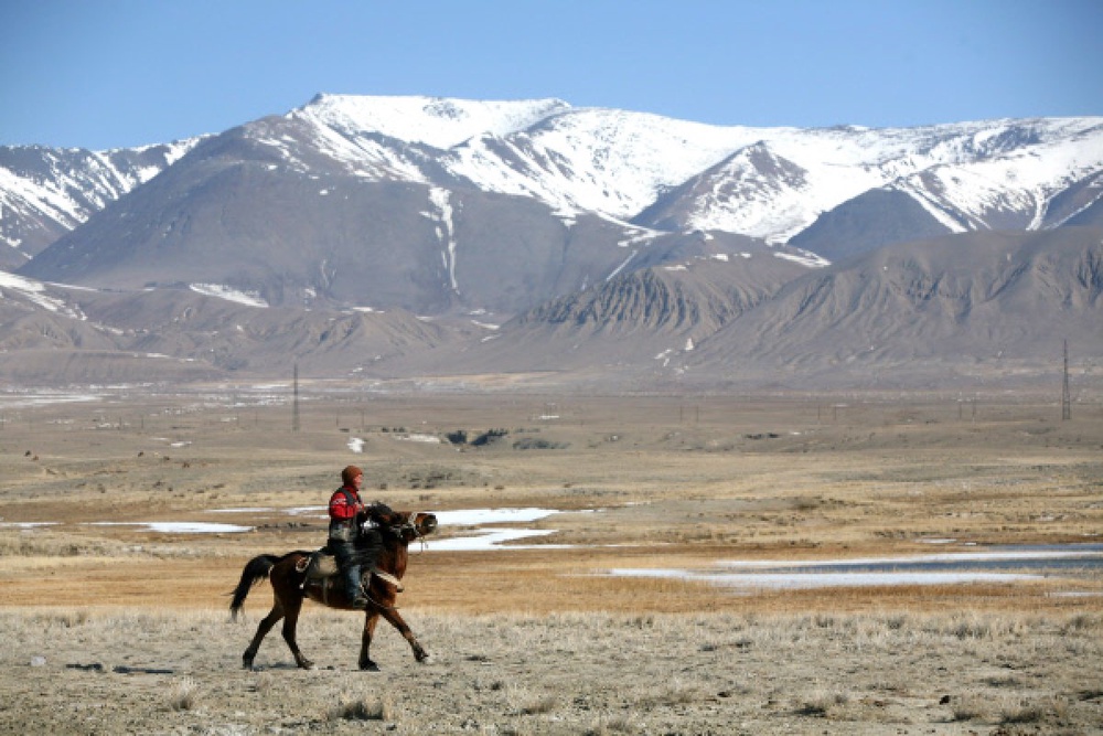 Чабан на коне. Фото РИА Новости©
