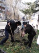 ФОТО: Жители Усть-Каменогорска получат возможность бесплатно озеленить свои дворы