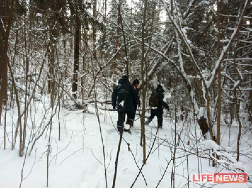 Пропавший вертолет спасатели ищут в лесах Подмосковья. Фото LifeNews.ru
