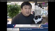 Казахстанские звезды создали украшения для благотворительного проекта