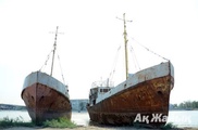 Обанкротился бывший флагман рыбной промышленности Казахстана