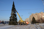 Главную новогоднюю елку Усть-Каменогорска пустят на удобрение